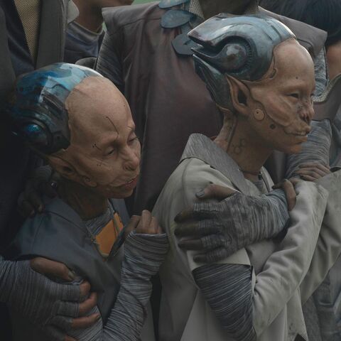 File:Rainer Children.jpg