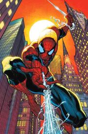 Spider-Web
