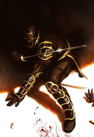 File:Ronin.jpg