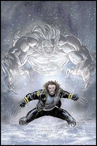 File:Wolverine Vol 2 171 Textless.jpg