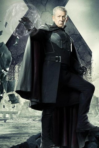 Tiedosto:Erik lehnsherr maa-10005.png