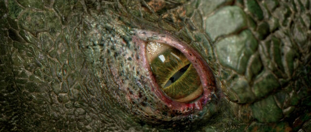 File:Lizard eye.jpg
