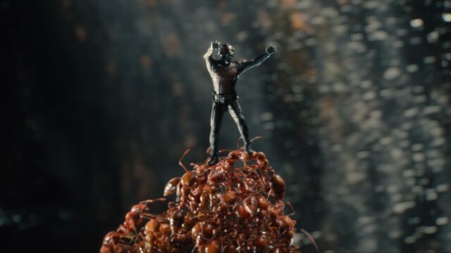 File:Ant-Man and Ants 02.jpg