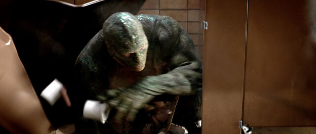 File:Lizard.jpg
