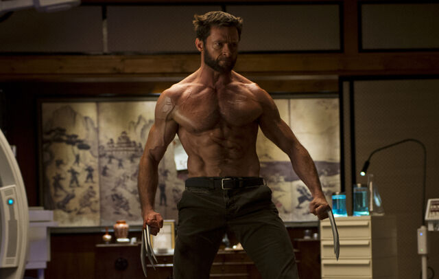 File:Thewolverine.jpg