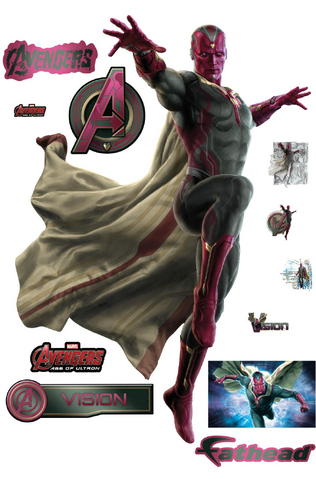 File:Vision Fathead.png