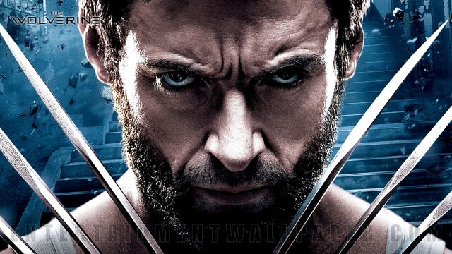 File:Wolverinecloseup.jpg