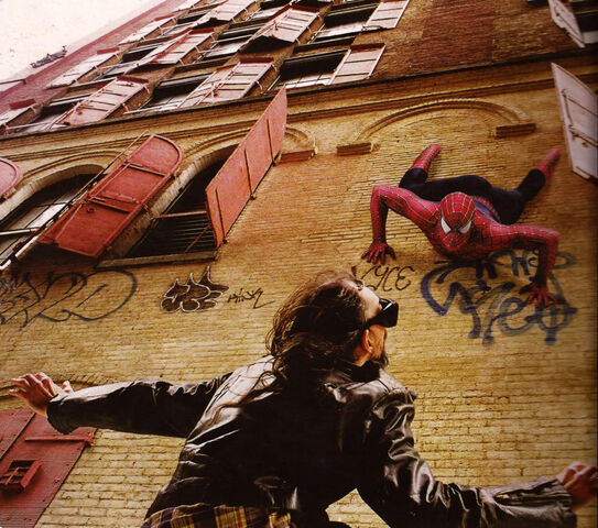 File:Spider-theif.jpg