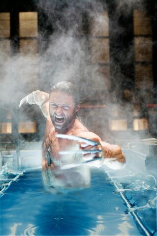 File:WolverineTank.jpg