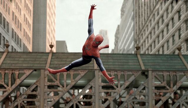 File:Spider-aerobics.jpg
