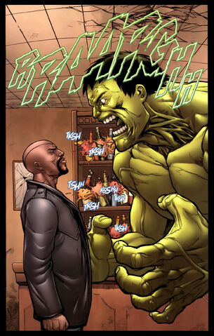 File:FuryandHulk2.jpg