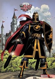 The black knight