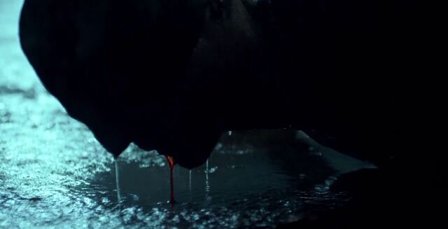 File:Daredevil netflix 1.jpg
