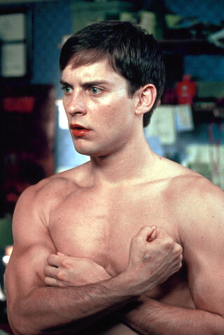 File:Spider-man-stills-008.jpg