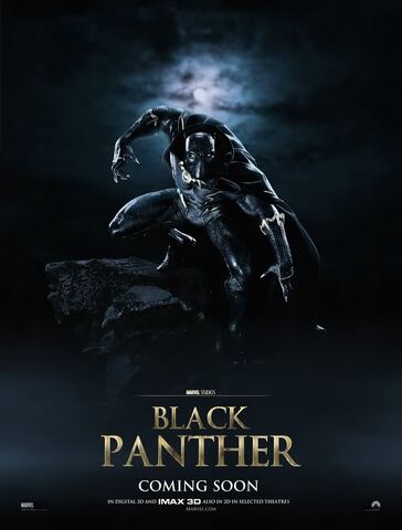 File:Black panther movie poster.jpg