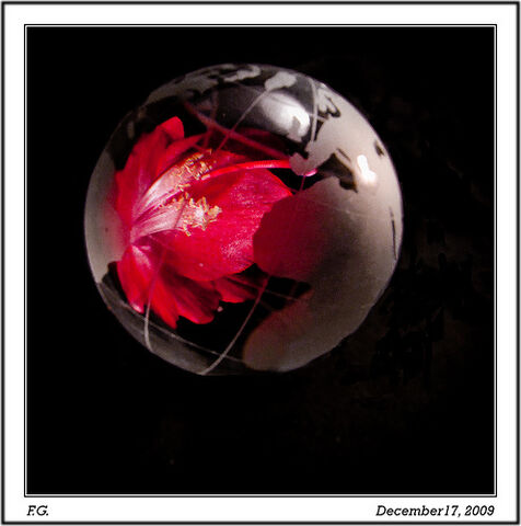 File:Ego the planet comic.jpg