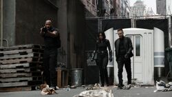 Hunter-Johnson-Mack-extract-Joey.jpg