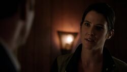 Maria-Hill-Speaks-to-Coulson.jpg
