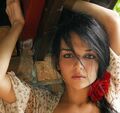 Thumbnail for version as of 23:00, January 20, 2012
