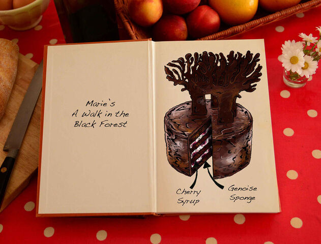 File:Marie-Black-Forest-Illustration-S6-Ep1.jpg
