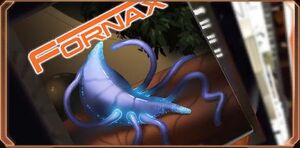 Fornax