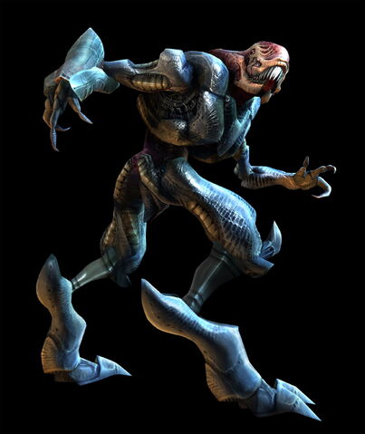 File:Pirate Trooper.jpg
