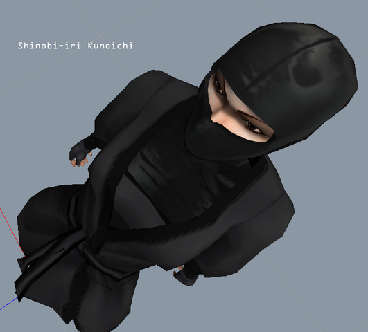 File:Shinobi-iri Kunoichi.png