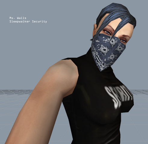 File:Ms walls.png