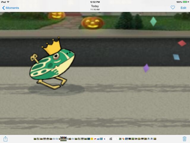 File:Frog.jpg