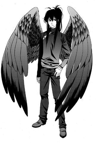 File:Manga-Fang-D-maximum-ride-1317769-1076-1600.jpg