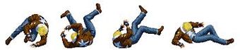 Evasive Roll (example)