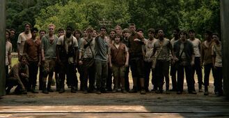 The-Maze-Runner-Gladers