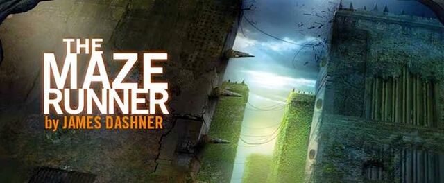 Archivo:Runner 2.jpg