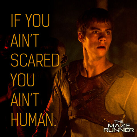 File:Mazerunner ifyourenotscaredquote.jpg