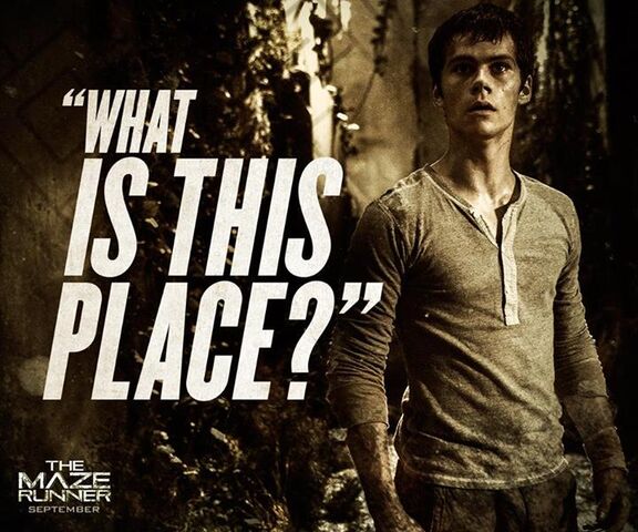 File:Mazerunner thomas3.jpg