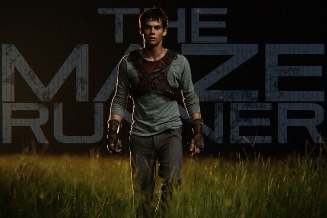 File:Dylan mazerunner thomas.jpg