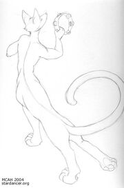 Tamborinetaur