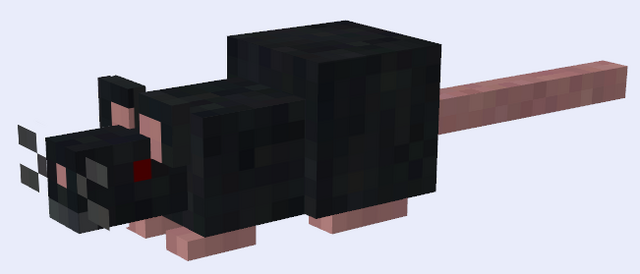 File:Rat.png