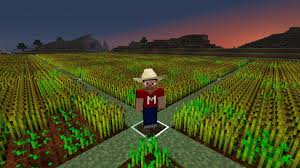 Giantwheatfarmminecraft