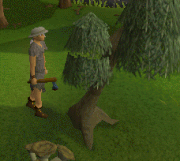 Woodcutting Tree.gif