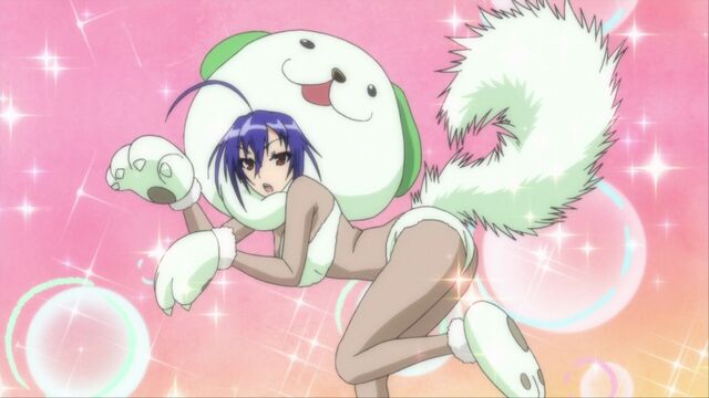File:Medaka in her dog outfit.jpg