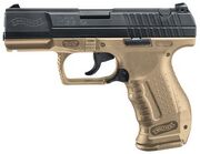 Waltherp99