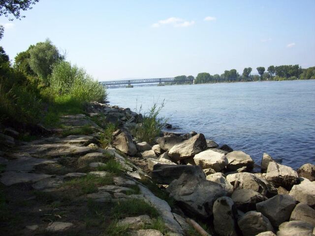 Datei:Rhein-04.jpg