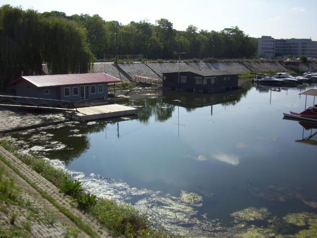 Datei:Rhein-15.jpg