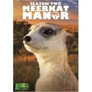 MeerkatManor2