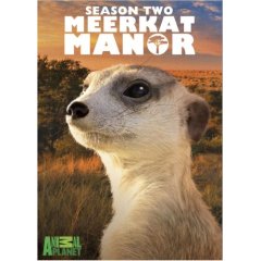MeerkatManor2