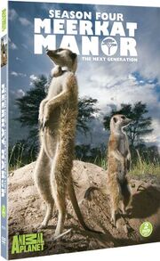 Season 4 dvd