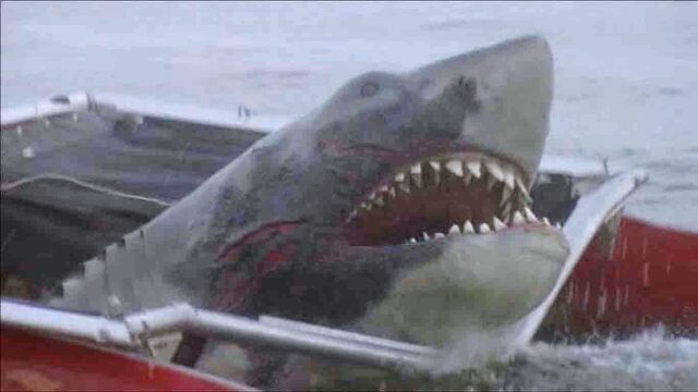 File:Jaws-2-shark.jpg