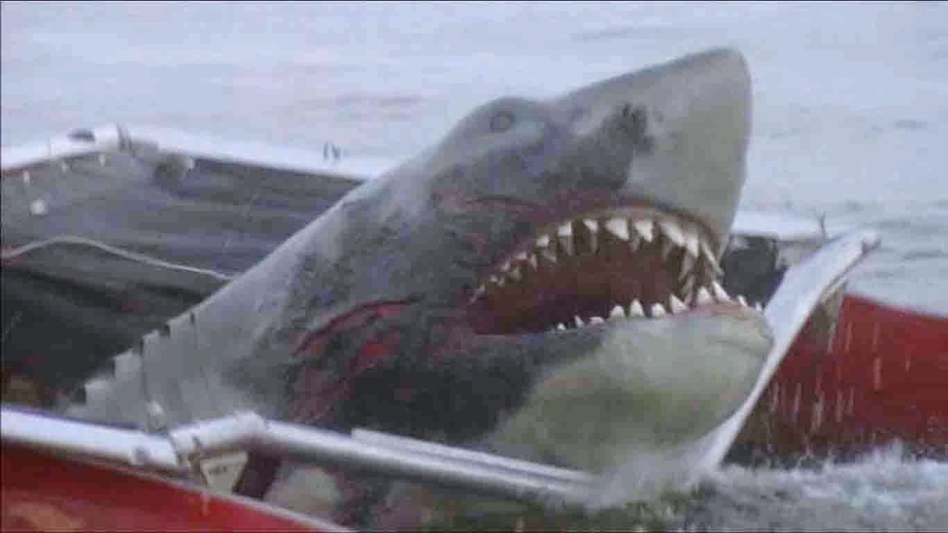 jaws 2 boat attack jaws jr mega shark wiki fandom powered by wikia jaws 2 boat attack jaws jr mega shark wiki fandom powered by wikia
