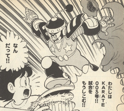 Karate003